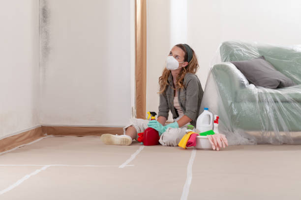 Reliable Commercial Mold Remediation contractor in Grant, MI by WQB Mold Removal